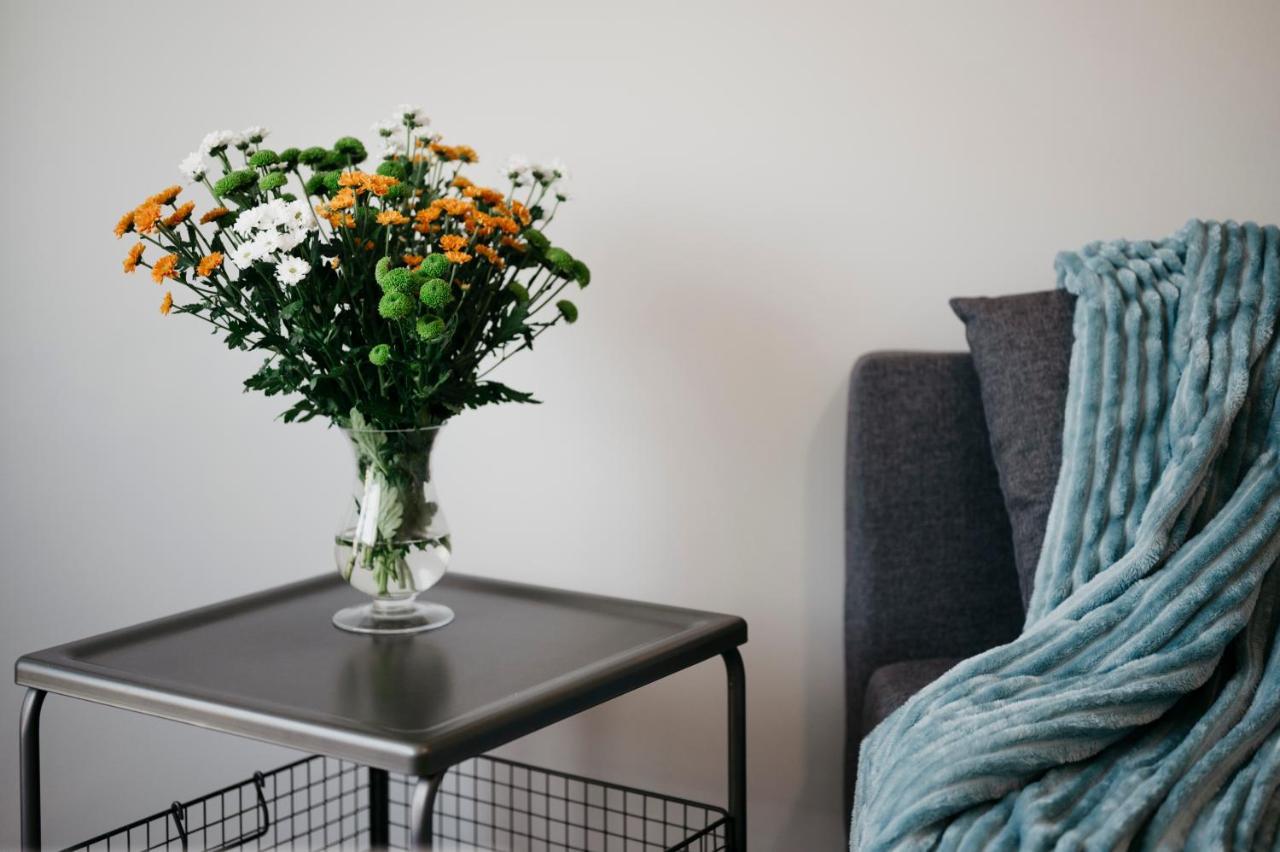 Nocosfera Apartament Serbinow Kaliszki Eksteriør bilde