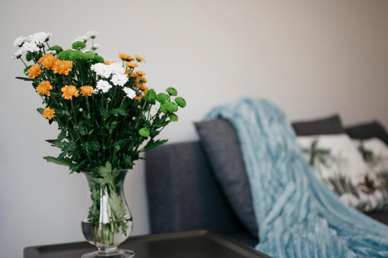 Nocosfera Apartament Serbinow Kaliszki Eksteriør bilde